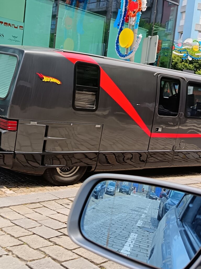 Só existem 587 no mundo e esta anda a passear por portugal. Já foi vista em braga