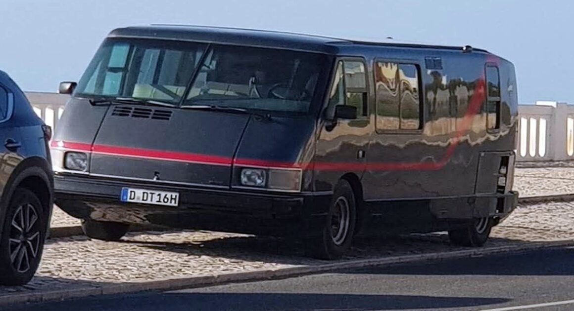Só existem 587 no mundo e esta anda a passear por portugal. Já foi vista em braga