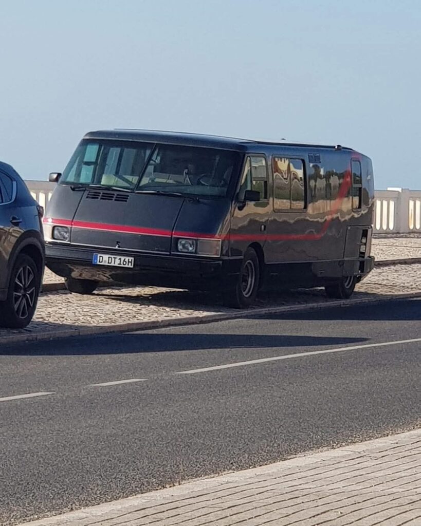 Só existem 587 no mundo e esta anda a passear por portugal. Já foi vista em braga