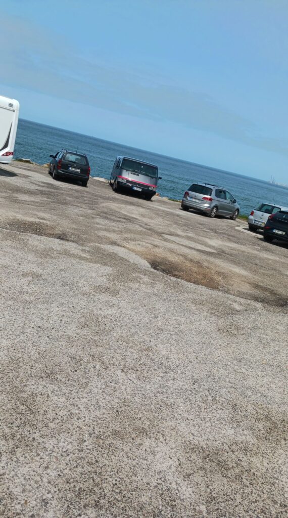 Só existem 587 no mundo e esta anda a passear por portugal. Já foi vista em braga