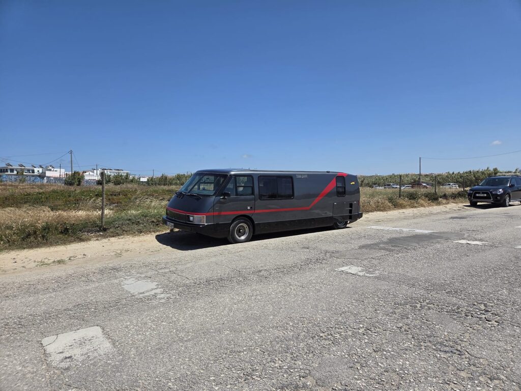 Só existem 587 no mundo e esta anda a passear por portugal. Já foi vista em braga