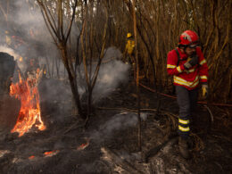 Incêndios: mais de 50 concelhos de oito distritos em perigo máximo