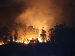 Mais de 30 concelhos de nove distritos em perigo máximo de incêndio